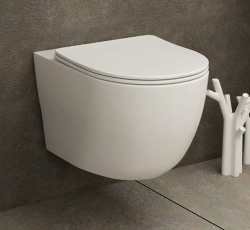 What Plumbing Is Needed For a Toilet?